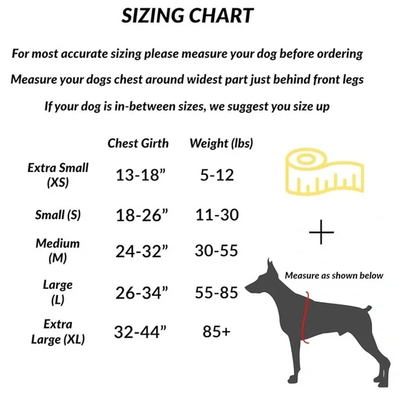 ShawnCo New $33 Essential Harness Padded Rose Gold Black XL - Picture 7 of 12